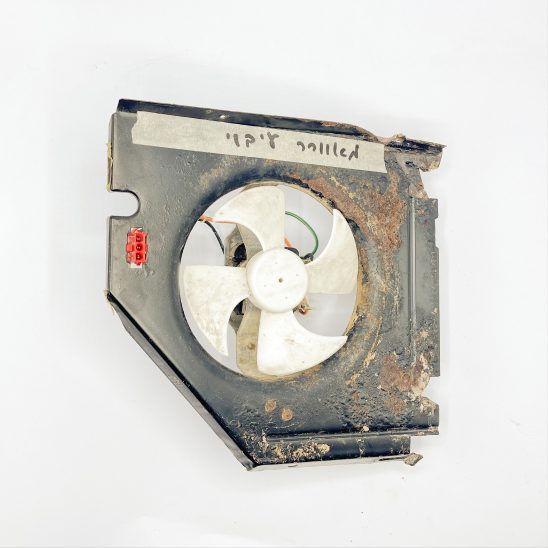 Fan