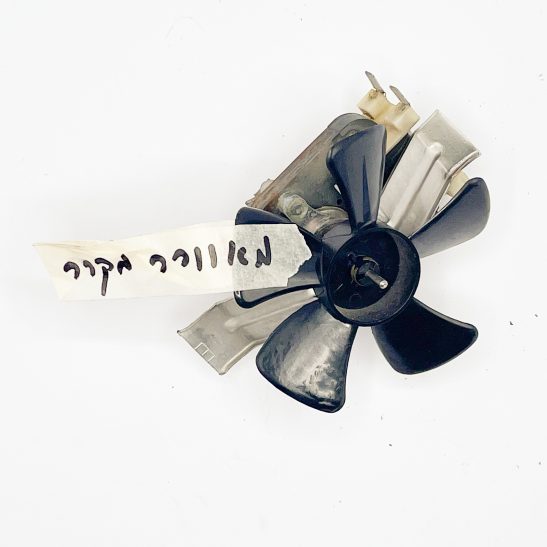 Fan